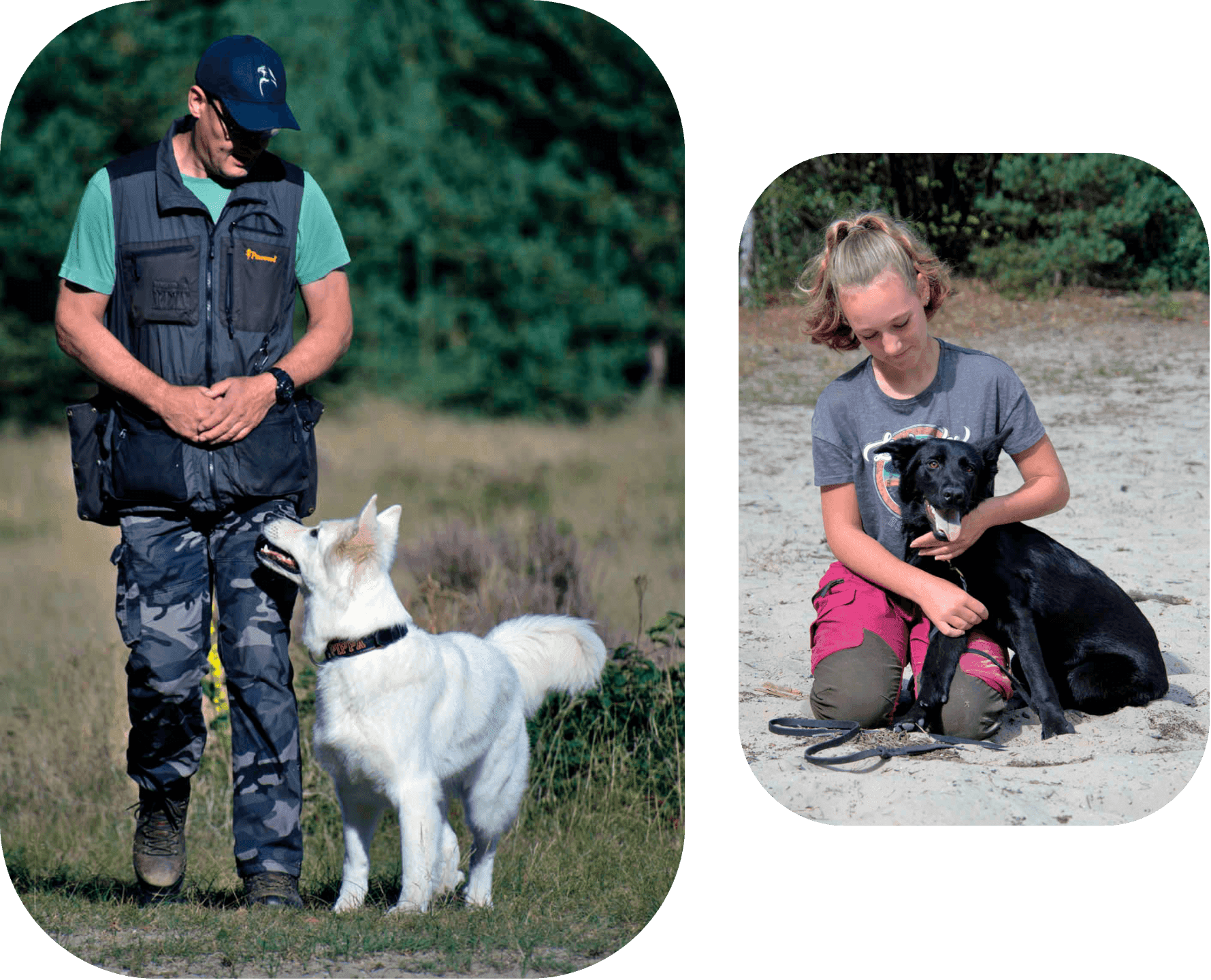 je hond leren begrijpen en begeleiden cursus en sporten met onze trainers