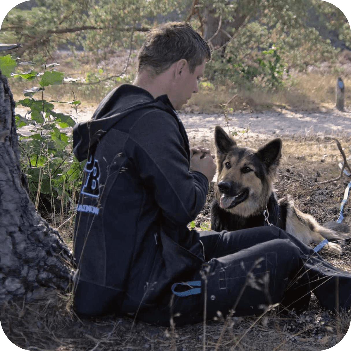 Hondenschool voor de volwassen hond en elk type ras van golden retriever en labrador tot pup