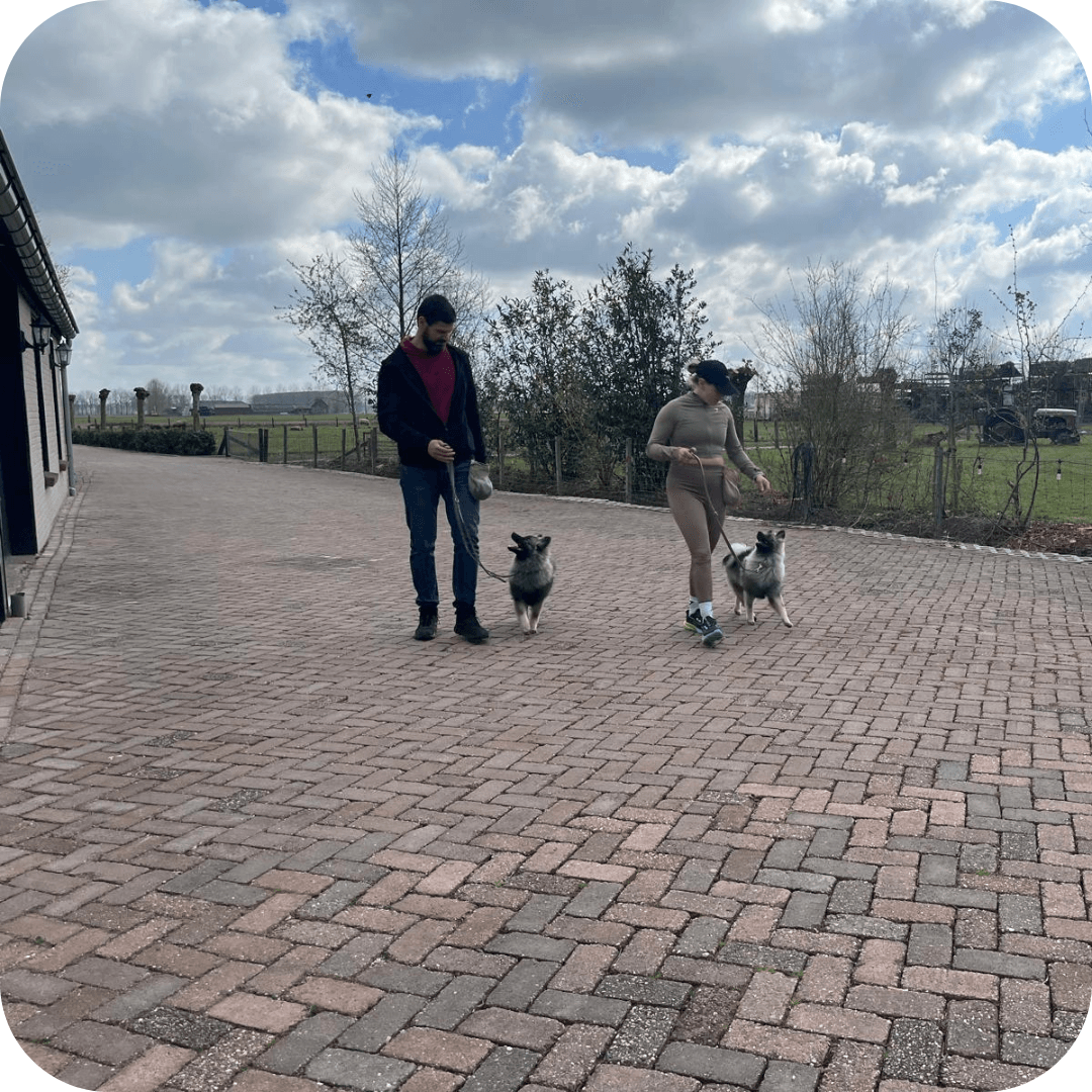 gewenst gedrag aanleren met kynologische gedragstherapeut voor kleine aanpassingen