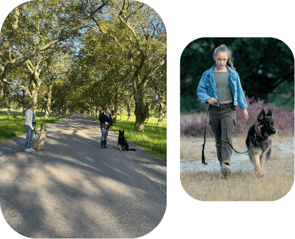 cursussen met instructeurs en andere cursisten samen oefeningen doen