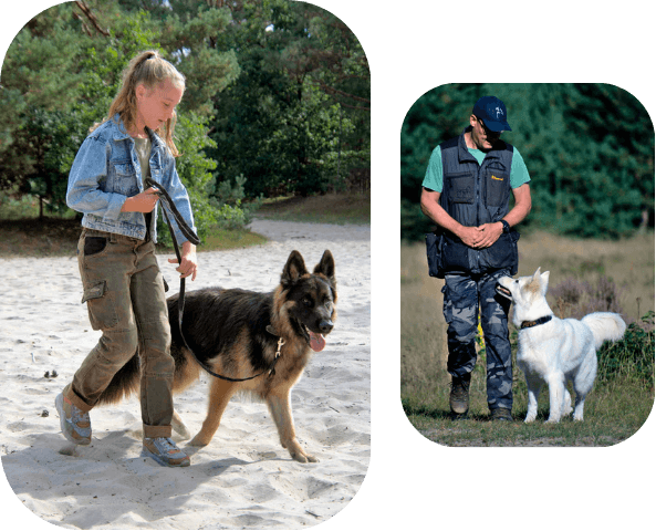 training voor het hele gezin om hond te begeleiden en leiden