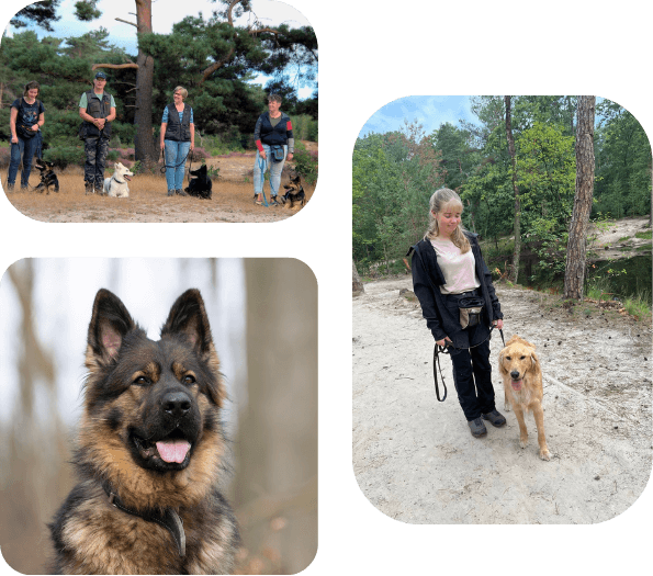 EEN GOEDE BAND MET JE HOND IS HET BEGIN VAN EEN LEUKE GEZAMENLIJKE TOEKOMST! (5)