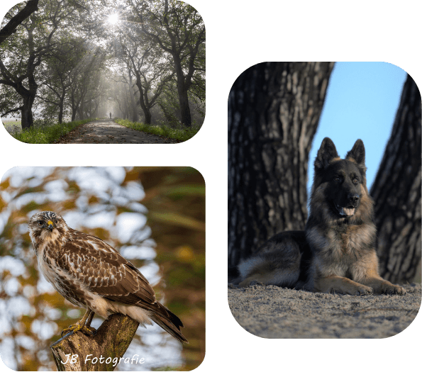 EEN GOEDE BAND MET JE HOND IS HET BEGIN VAN EEN LEUKE GEZAMENLIJKE TOEKOMST! (7)