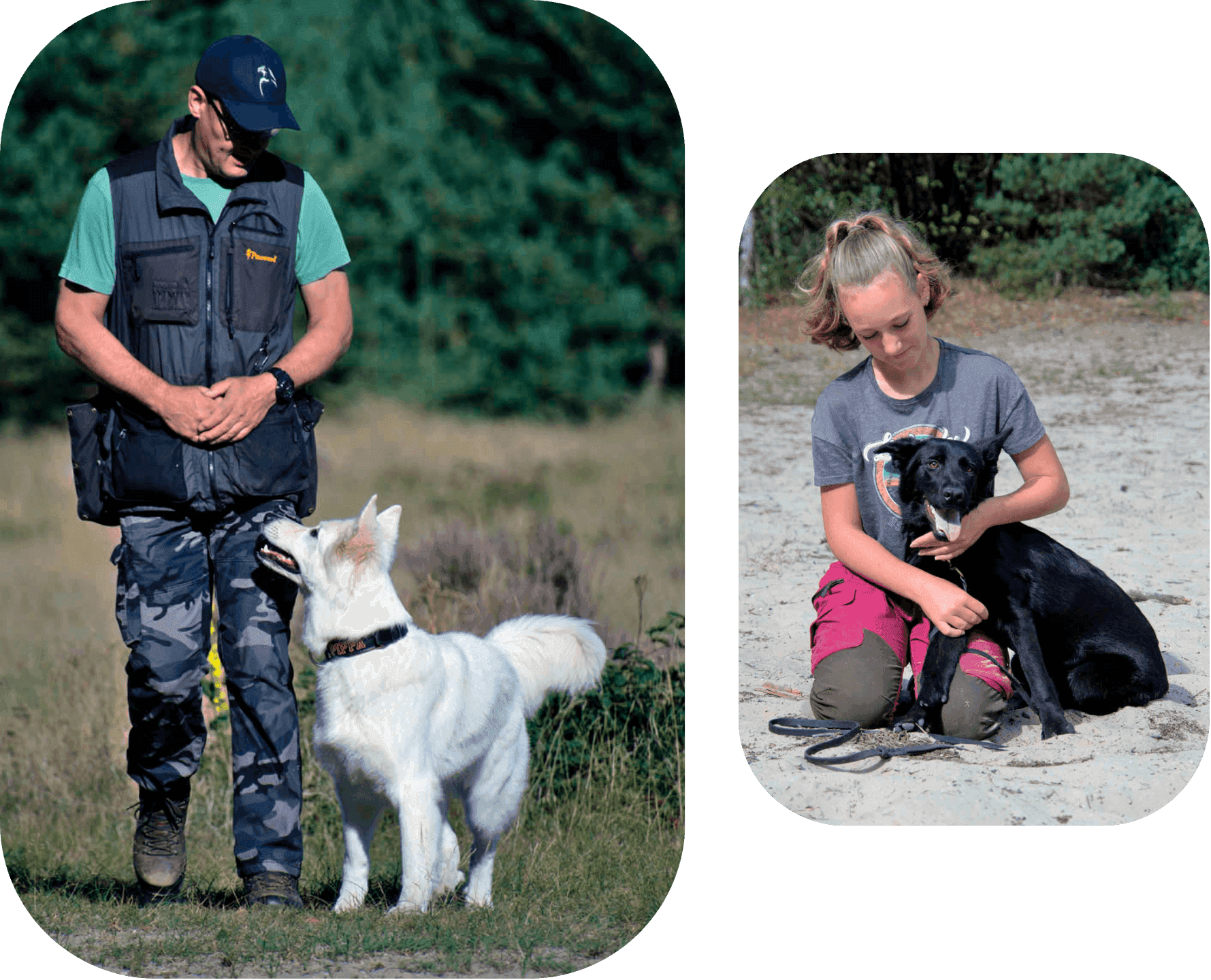Persoonlijke begeleiding voor honden in en rondom Vianen