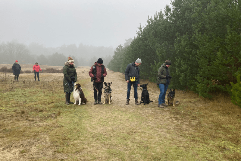 een groep die gaat speuren in het bos