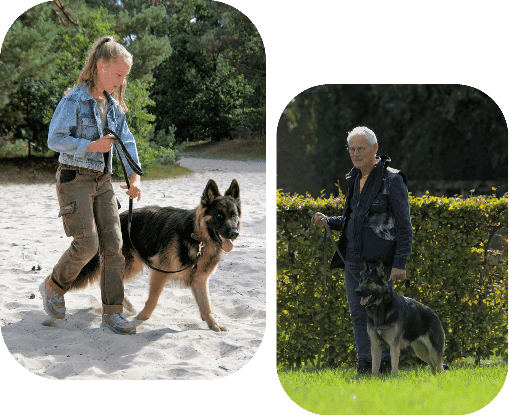 samenwerken met je hond met een ervaren trainer